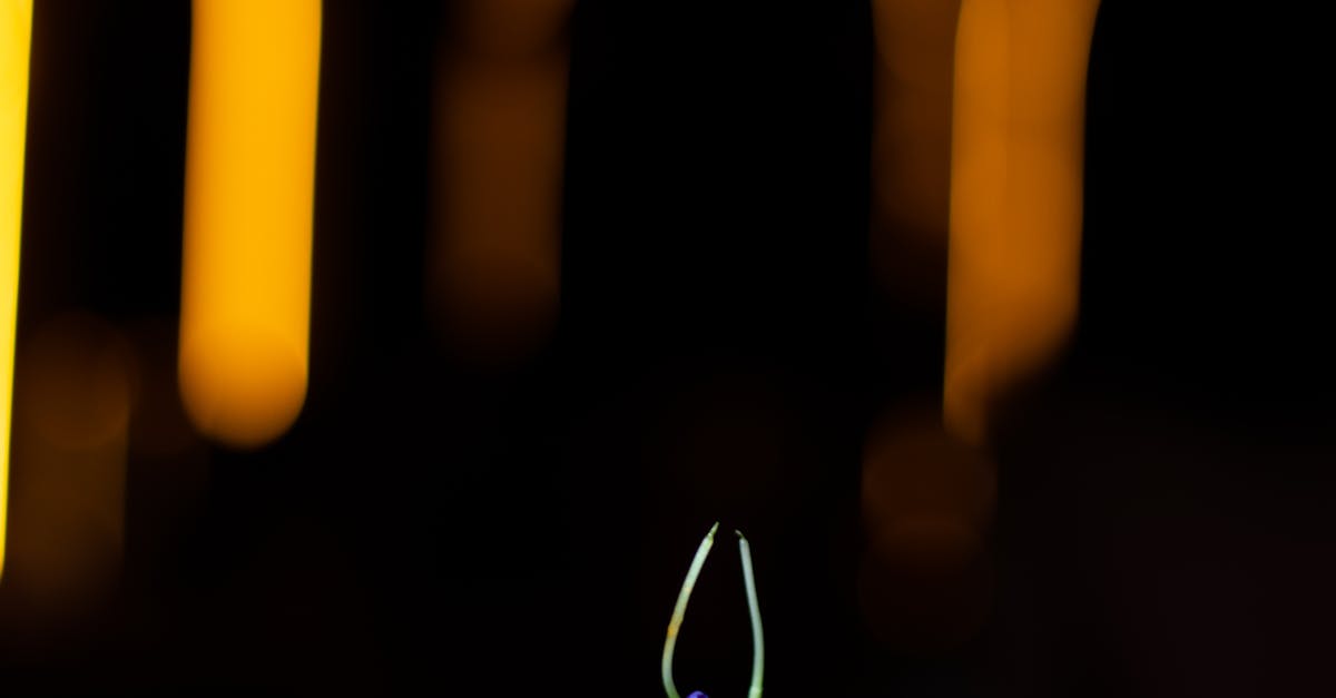 Reviews of Gluten-Free Indian Menus Across Melbourne