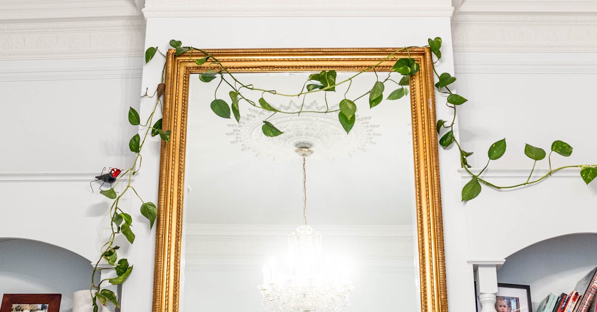 The Art of Indian Vegetable Biryani: Flavours of Melbourne