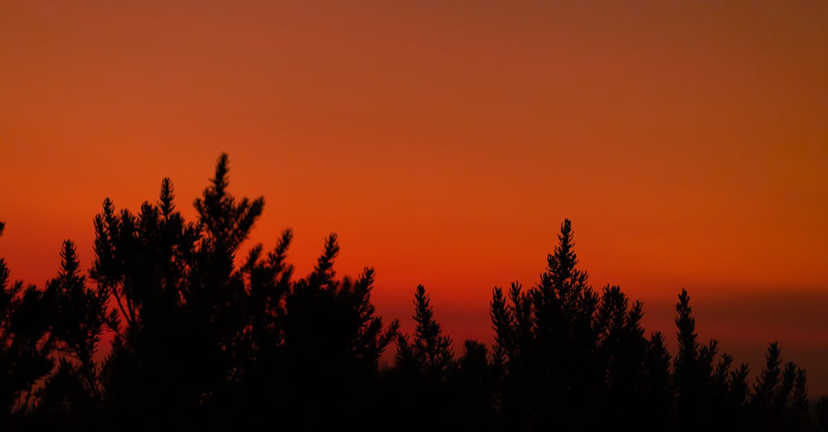 The Influence of Goan Cuisine on Melbourne's Indian Dining Scene