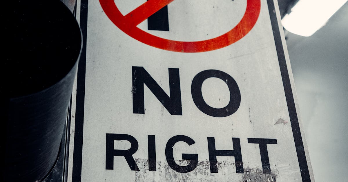 The Rise of Vegan Choices in Melbourne's Indian Dining Scene