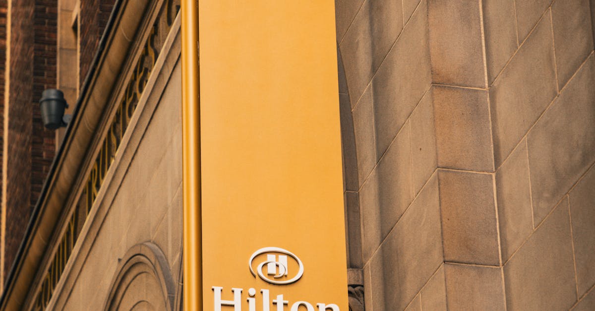 Top 10 Vegan Indian Street Food Options to Try in Melbourne